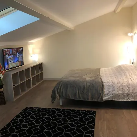 Appartement Superbe Loft Centre-ville *